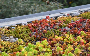 the cost of Newhill green roof installation