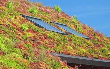 Newhill living roof systems
